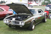 FIREBIRD